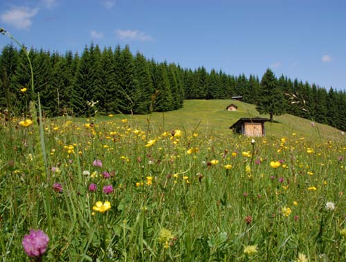 Ferienwohnungen in der Umgebung von Garmisch-Partenkirchen